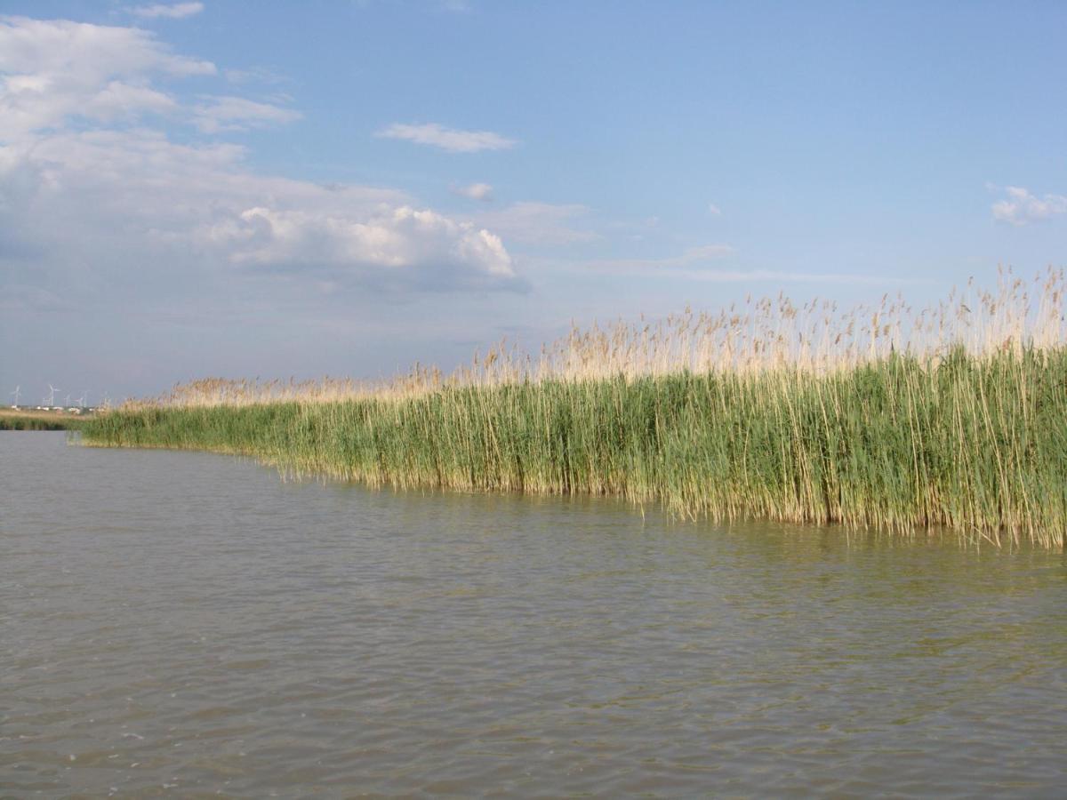 Haus Am See Neusiedl am See Luaran gambar