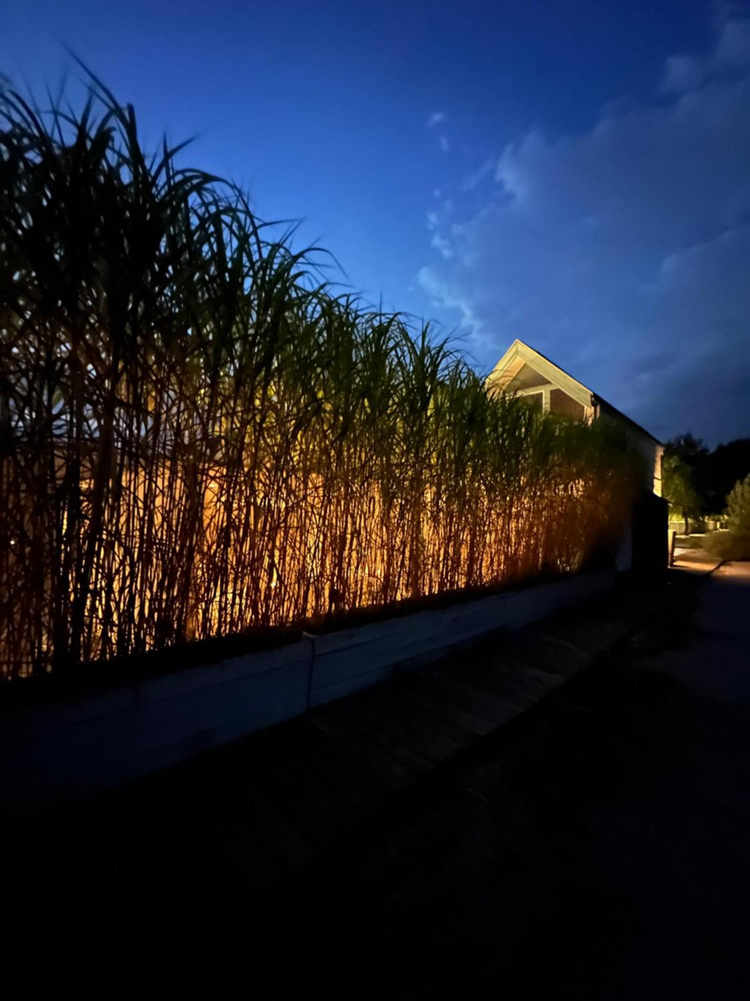 Haus Am See Neusiedl am See Luaran gambar