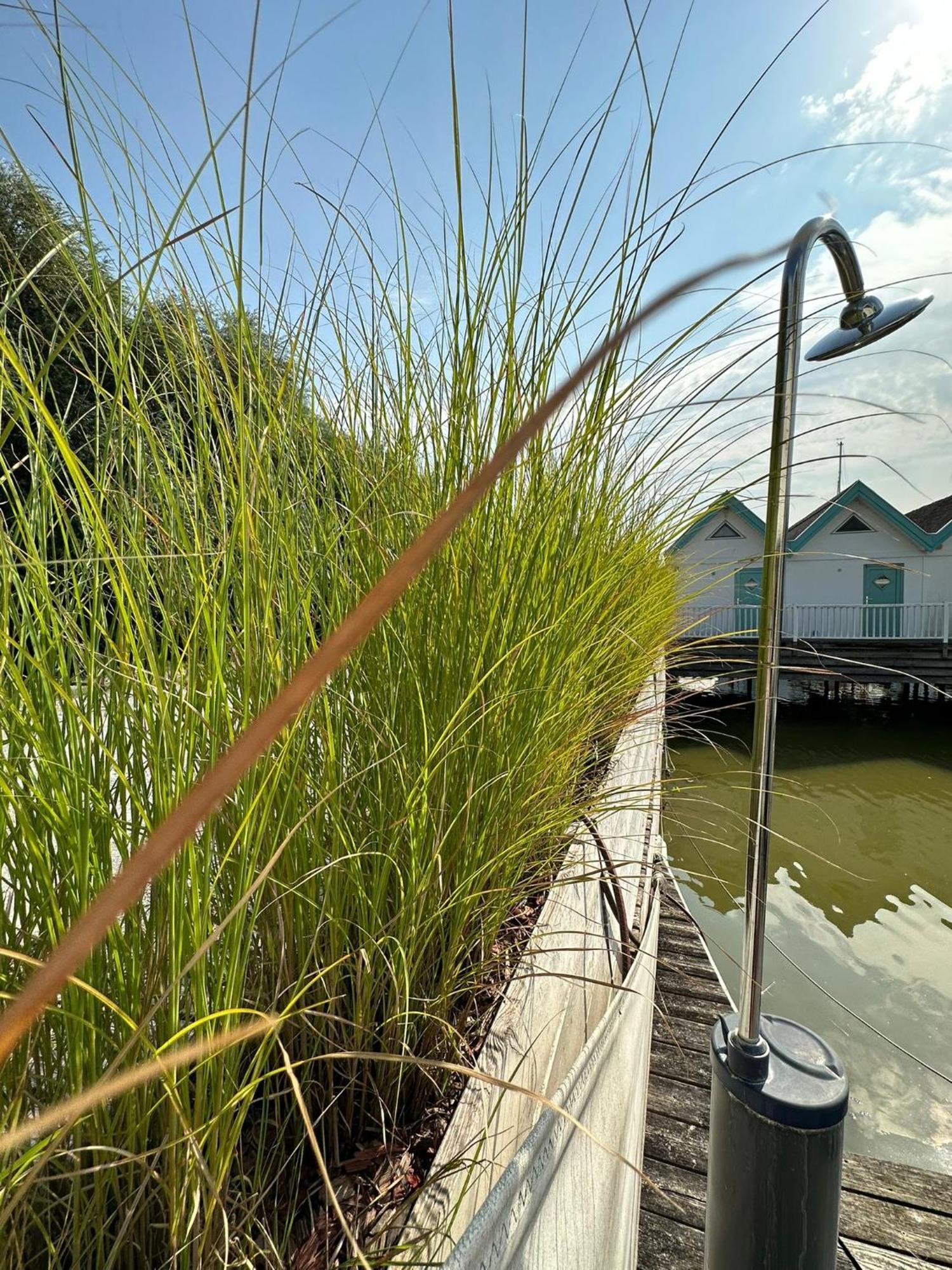 Haus Am See Neusiedl am See Luaran gambar
